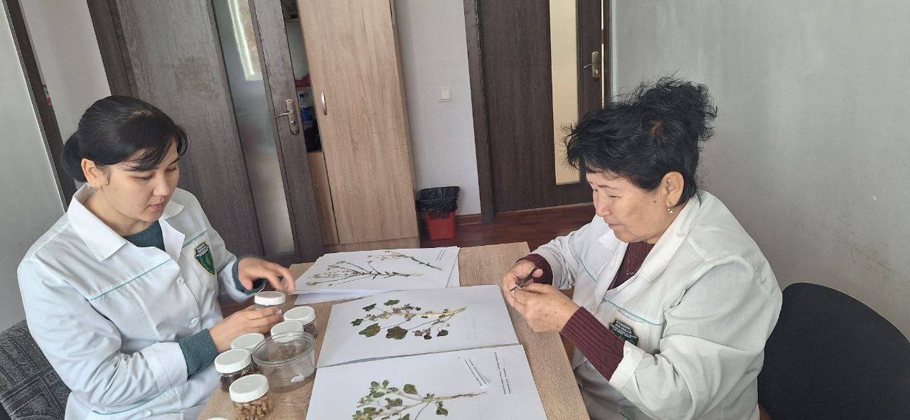 Laboratoriya yangiliklari